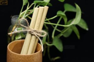 Ống hút tre thân thiện môi trường