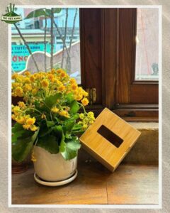 Hộp đựng khăn giấy bằng tre