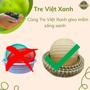 san-pham-tre